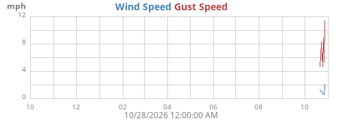 yearwind